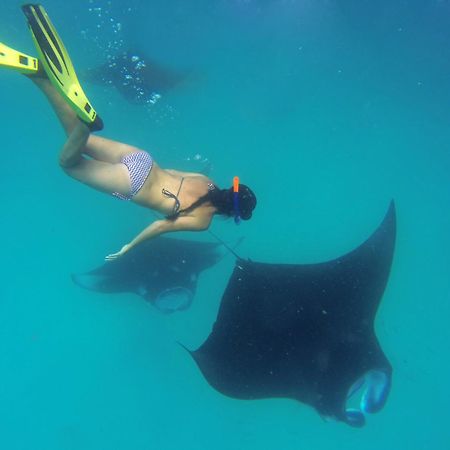 Hanifaru Transit Inn Dharavandhoo Bagian luar foto