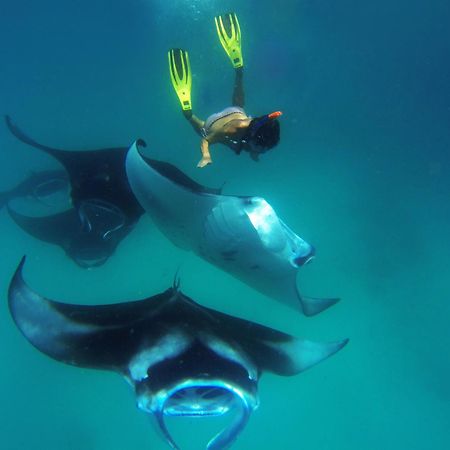 Hanifaru Transit Inn Dharavandhoo Bagian luar foto