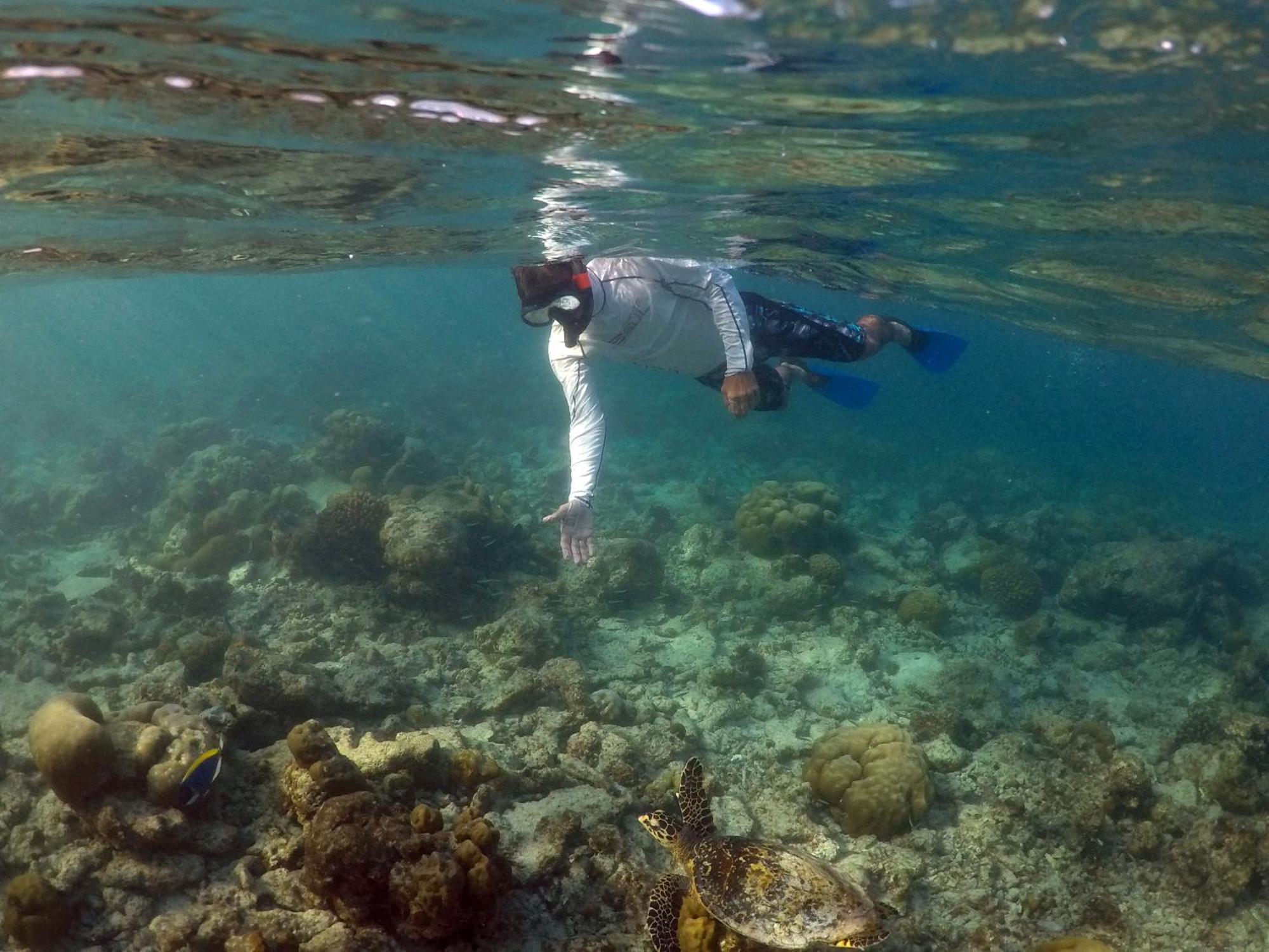 Hanifaru Transit Inn Dharavandhoo Bagian luar foto