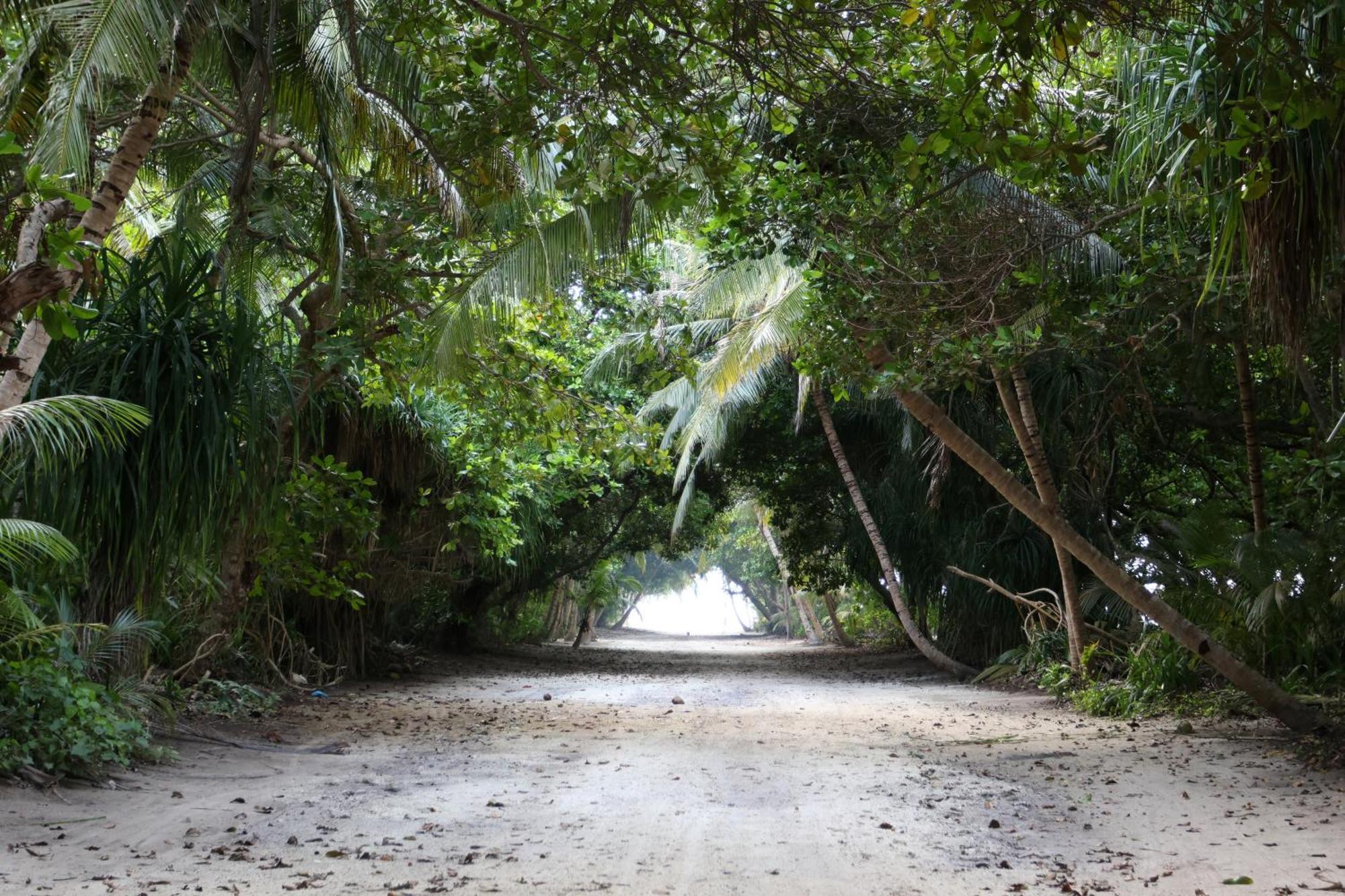 Hanifaru Transit Inn Dharavandhoo Bagian luar foto