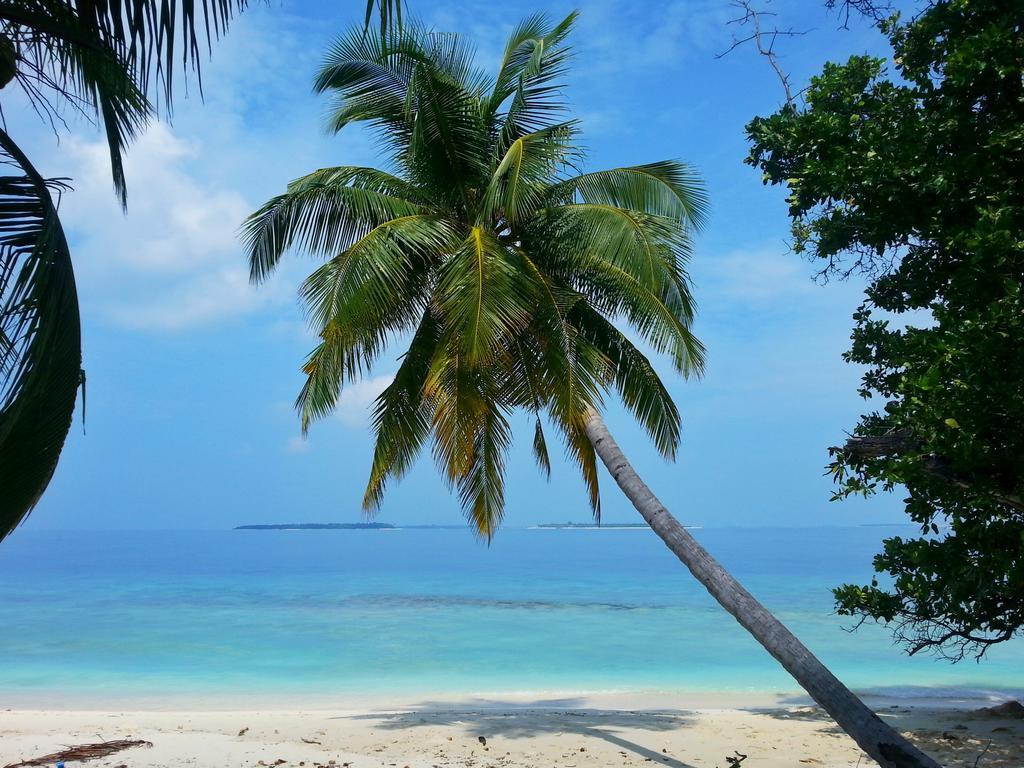 Hanifaru Transit Inn Dharavandhoo Bagian luar foto